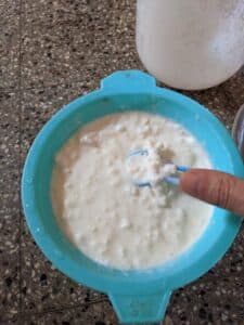 Milk kefir grains 